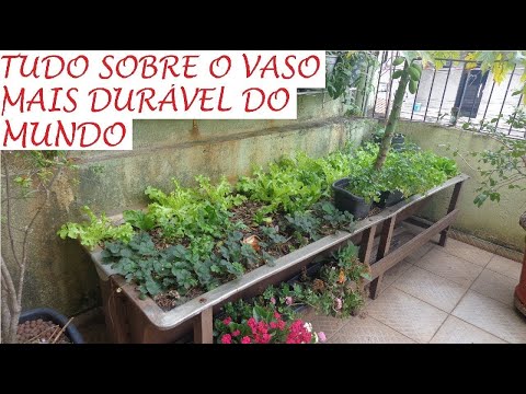 Vídeo: Idéias interessantes para uma varanda