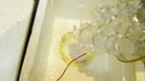 The OZ Optics DSTS System: BOTDR Long Distance Demonstration