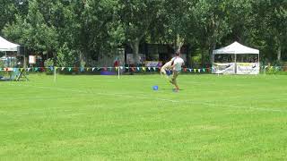 Freestyle disc dog USDDN Bologna 2018