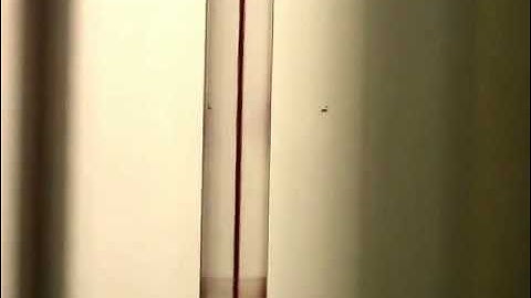 Transitional Flow (example 1) 0.45 l/min