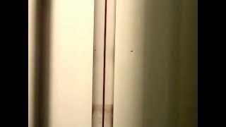 Transitional Flow (example 1) 0.45 l/min