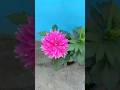 Natural Flowers 🌺