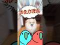 【ｱｯｰ!!】バズりすぎた伝説のツイート集！ Part 102 #だいちゃんねる