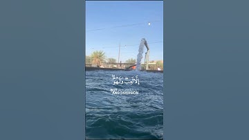 الشيخ عبدالله الموسى سورة الأنعام