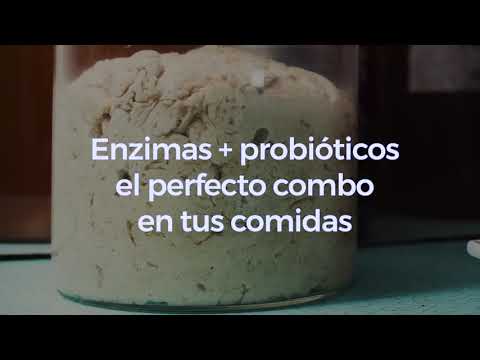 Vídeo: Diferencia Entre Probióticos Y Enzimas Digestivas