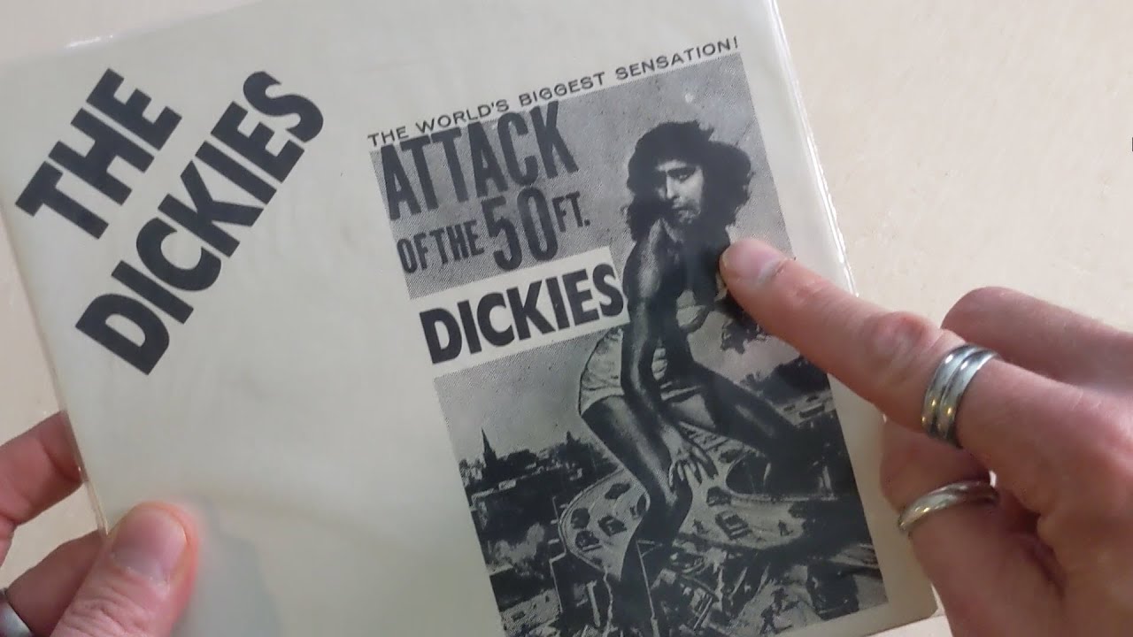 My Collection: THE DICKIES Vinyl! + New Addition Gift! Punk VC Community