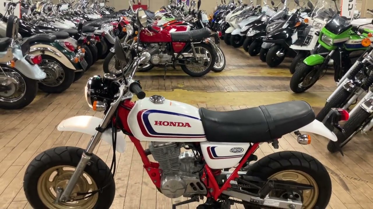 エイプ100/ホンダ の販売情報 株式会社西川商会｜ウェビック バイク選び