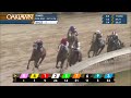 Oaklawn Park Feb 3, 2024 The 46th Running of Martha Washington Stakes