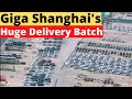 Tesla Giga Shanghai Is Actively Preparing a Huge Batch of Cars for Export in Q3 2021