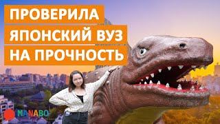 Сравниванием японский и русский универ. Где проще учиться? Студентка из России о своем опыте.