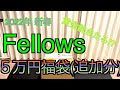 【2022年 エアガン福袋】Fellows 5万円 フェローズ サバゲー福袋 追加のハンドガンコース