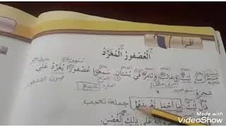 عربي شرح واستخراج درس العصفور المغرد صف ثاني ( القراءة التفسيرية )