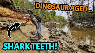 This Alabama Riverbank is LOADED with Shark Teeth from the Age of the DINOSAURS!