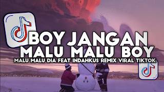 DJ BOY JANGAN MALU MALU BOY KAMU ITU LUCU BOY TREND SLOW REMIX FULL SONG VIRAL TIKTOK TERBARU 2026