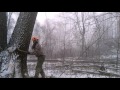 Hart logging