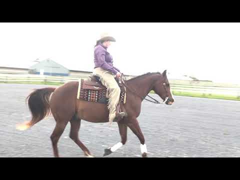 Leah Martin and Gonna Makeit Bigtime NRHA Pattern #16