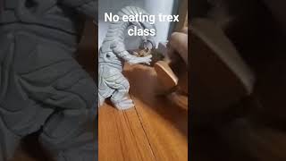 No eating trex class #Feather #Family #fan