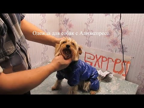 Одежда для собак с Алиэкспресс обзор распаковки посылки примерка