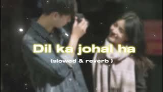 Dil ka johal ha song [lyrical] | lofi song (slowed reverb)