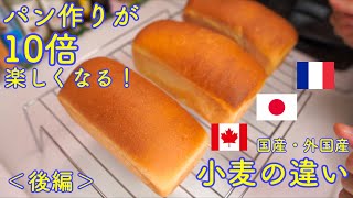 【検証】日本産、カナダ産、フランス産の小麦の比較＜後編＞(Comparison of wheat by region)