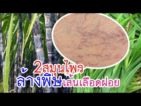 มหัศจรรย์!!สูตรล้างพิษในเส้นเลือดฝอย(Capillaries)ด้วยสมุนไพร 2 อย่างนี้  พร้อมวิธีกินที่ถูกต้อง