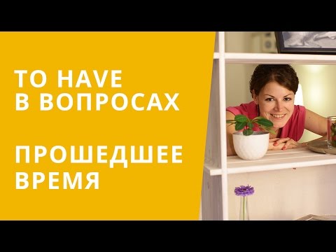 Онлайн курс | Базовый английский | TO HAVE в вопросах прошедшего времени