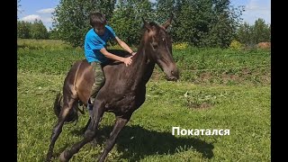 Покатушки на Печенеге. Сел и поскакал... Или полетел...