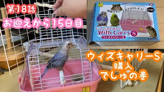 【セキセイインコ】ウィズキャリーS購入‼️インコキャリー‼️