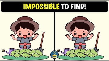 Spot the Difference Puzzles ! (HARD) | Quiz Game | IMPOSSIBLE TO FIND!