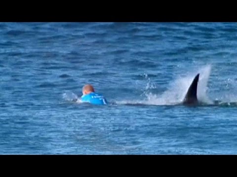 Βίντεο: Οι παραλίες ενός κόσμου χωρίς καρχαρία