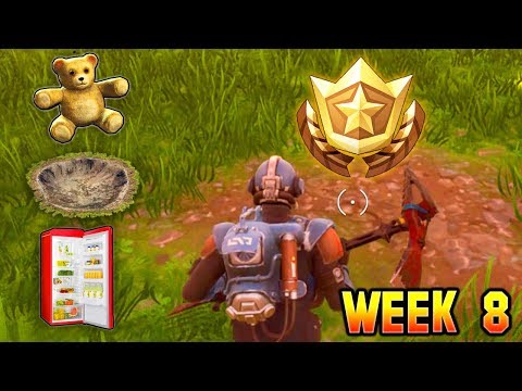 fortnite searc fortnite search between a bear - fortnite search between a bear
