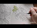 Colour &amp; Chat | Tales From The Forest Kingdom ~ Hanna Karlzon