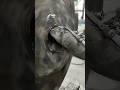 How to making in rolling Mill Steel plant manufacturing work #machine #trending #trendingshorts