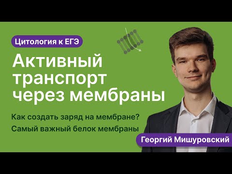 2.30. Активный транспорт через мембраны | Цитология к ЕГЭ | Георгий Мишуровский