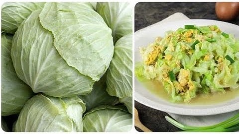 Những ai nên ăn bắp cải thưởng xuyên | Cây cỏ Việt Nam