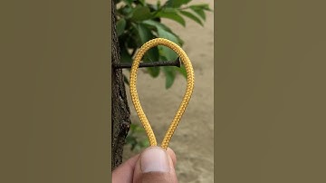 Mastering Rope Knots:From Beginners to expert