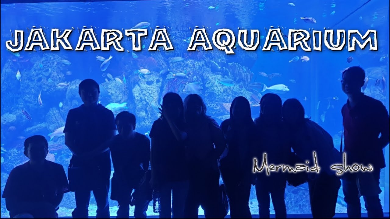 Aquarium besar di dalam mall... awesome! - YouTube