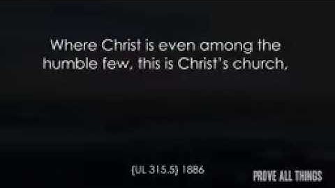 Which ship? - Nader mansour