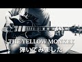 「 I don't know /THE YELLOW MONKEY」ギターで弾いてみました(コピーです)猫一