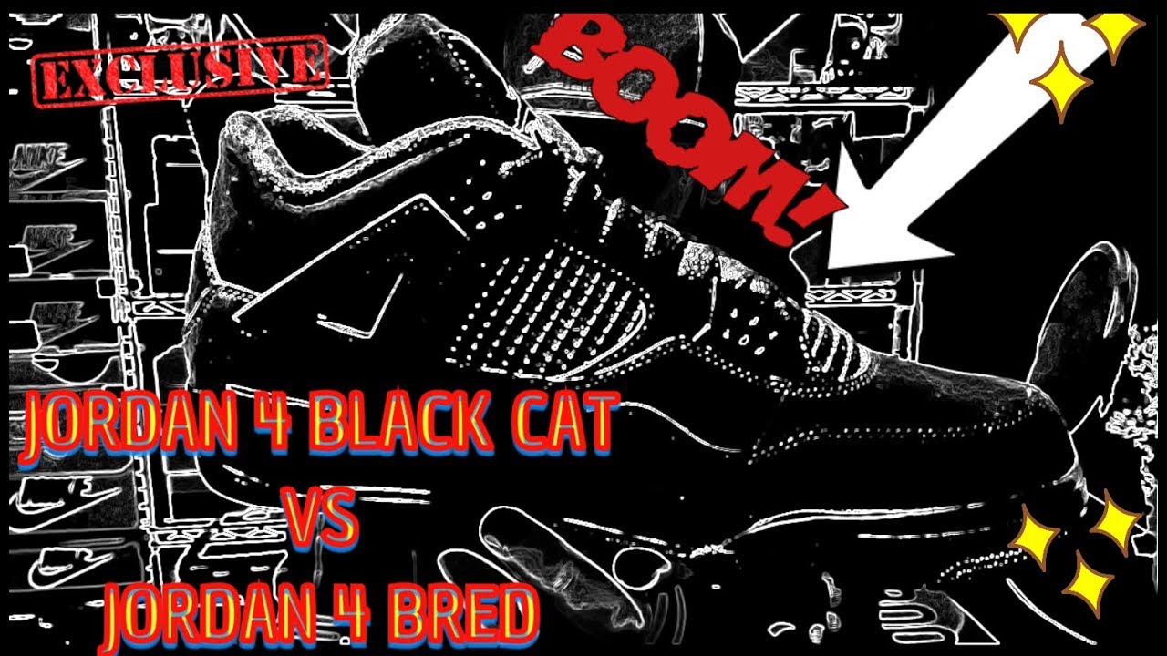 bred 4 black cat