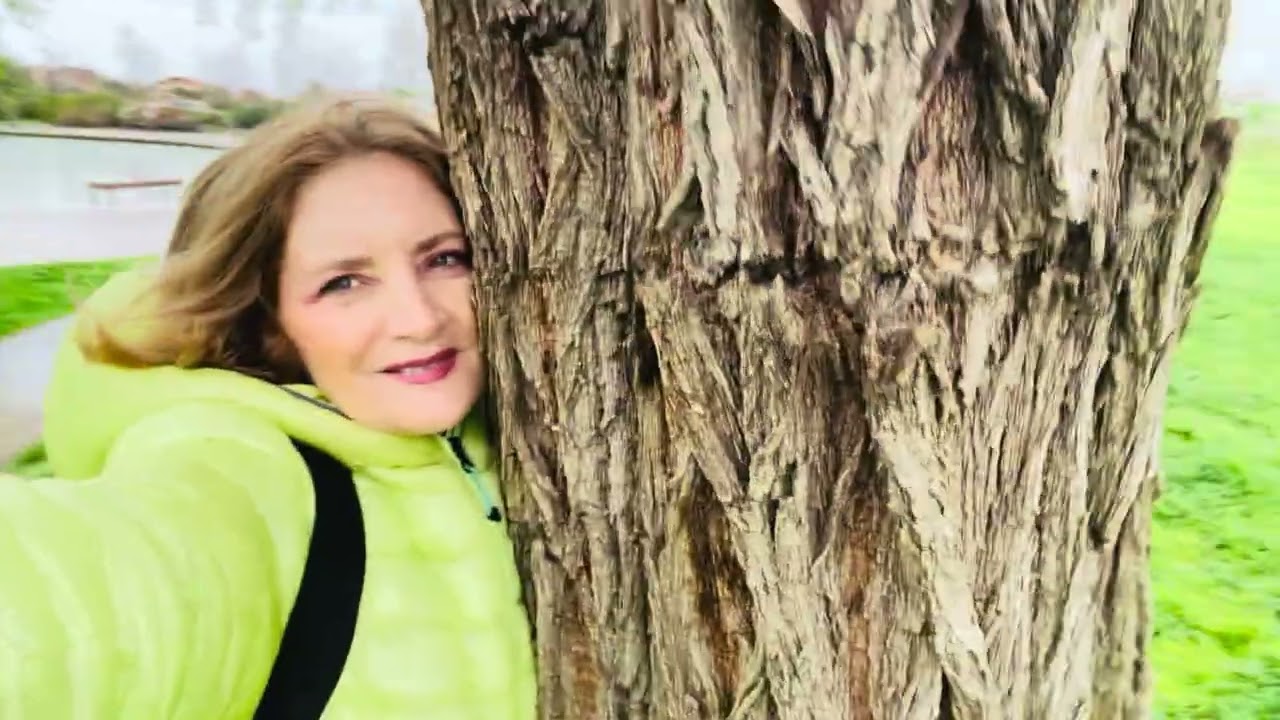 Bajo las ramas de un SAUCE LLORÓN. Una historia de cambio. #naturaleza #árboles #plantas #nature 🎄🌳🌴