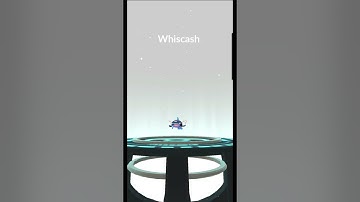 Shiny Barboach evolves into.... #Whiscash #pokemon #pokemongo #fish #catfish #ground #electric #wet