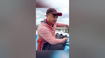 Trải nghiệm câu cá biển cực chill | Du lịch Đà Nẵng