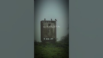 #اسلام صبحي| Islam Sobhi |سورة المؤمنون (111-112)