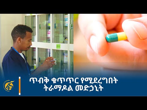 ቪዲዮ: የእፅዋት መደብር የተገዛ ባሲል፡ የግሮሰሪ መደብር ባሲል እፅዋትን እንደገና ማኖር ይችላሉ።