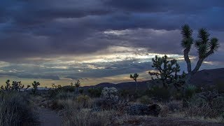 Mojave Monsoon Morning