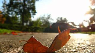 Tinanguyen--Misplaced.wmv