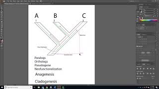 BIOL 6330 Unit 3 3 1 Paralogy  Gene Loss and Gene Mapping Net Worth
