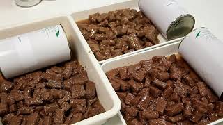 Amazing Food Processing Technology   Pet Food Production