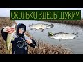 Жор Щуки в Феврале. Море Поклевок.  Рыбалка на малой речке.